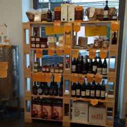 Mercato Coperto di Alessandria - Alessandria