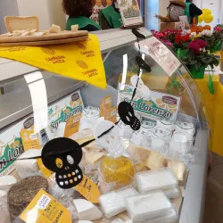 Mercato Coperto di Alessandria - Alessandria