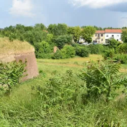 Parco della Cittadella - Alessandria