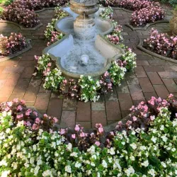 Villa Guerci - Alessandria