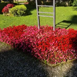 Villa Guerci - Alessandria