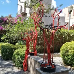Coral Museum (Museo del Corallo) - Alghero