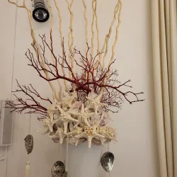 Coral Museum (Museo del Corallo) - Alghero