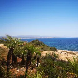Punta Negra Beach - Alghero