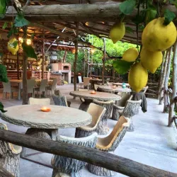 Lemon Groves of Amalfi - Amalfi