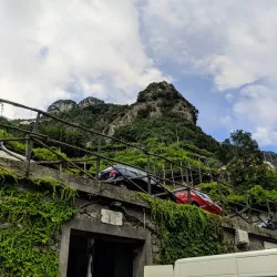 Lemon Groves of Amalfi - Amalfi