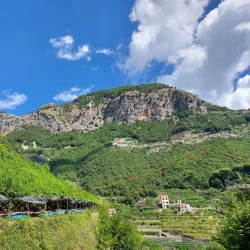 Lemon Groves of Amalfi - Amalfi