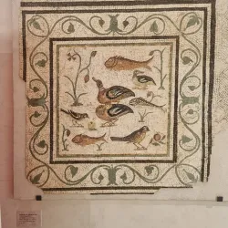 National Archaeological Museum of the Marche Region - Ancona