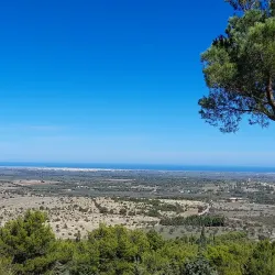 Castel del Monte - Andria