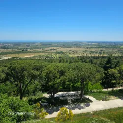 Castel del Monte - Andria
