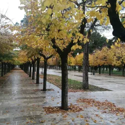 Villa Comunale di Andria - Andria