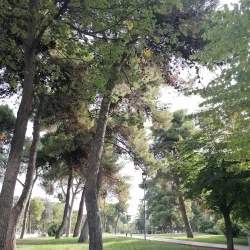 Villa Comunale di Andria - Andria