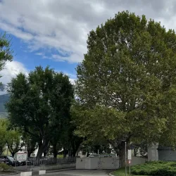 Arch of Augustus - Aosta