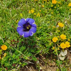 Parco Naturale Regionale della Lessinia - Asiago