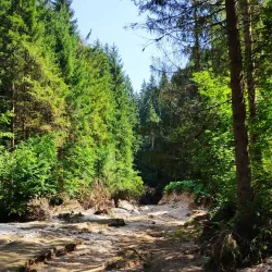 Sentiero della Pace (Path of Peace) - Asiago