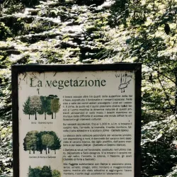 Sentiero della Pace (Path of Peace) - Asiago