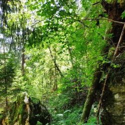 Sentiero della Pace (Path of Peace) - Asiago