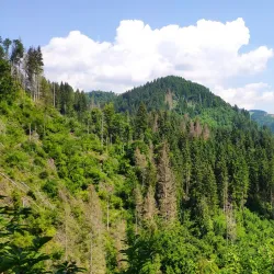 Sentiero della Pace (Path of Peace) - Asiago