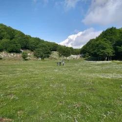 Parco del Partenio - Avellino