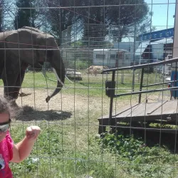 Villa Comunale di Aversa - Aversa