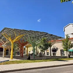 Mercato di Avezzano - Avezzano