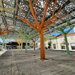 Mercato di Avezzano - Avezzano