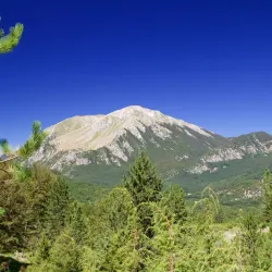 Parco Nazionale d'Abruzzo, Lazio e Molise - Avezzano