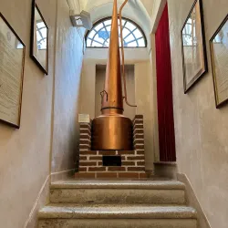 Grappa Museum (Museo della Grappa) - Bassano del Grappa