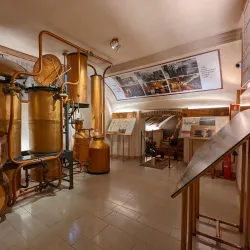 Grappa Museum (Museo della Grappa) - Bassano del Grappa