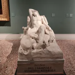 Museo Civico di Bassano del Grappa - Bassano del Grappa