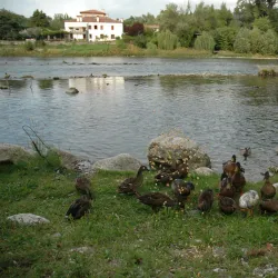 San Francesco Church - Bassano del Grappa
