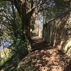 San Francesco Church - Bassano del Grappa