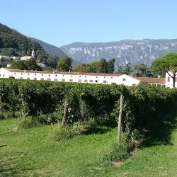 Villa Angarano - Bassano del Grappa