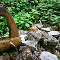 Parco Naturale Dolomiti Bellunesi - Belluno
