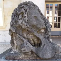 Teatro Comunale di Belluno - Belluno