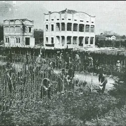 Villa Patt - Belluno