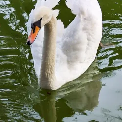 Villa Comunale - Benevento