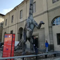 Museo di Scienze Naturali Enrico Caffi - Bergamo