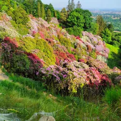Parco della Burcina "Felice Piacenza" - Biella