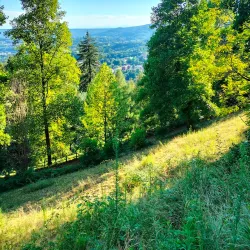 Parco della Burcina "Felice Piacenza" - Biella