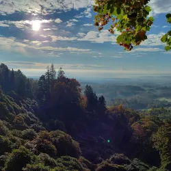 Parco della Burcina "Felice Piacenza" - Biella