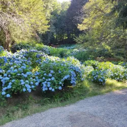 Parco della Burcina "Felice Piacenza" - Biella