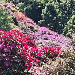 Parco della Burcina "Felice Piacenza" - Biella