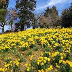 Parco della Burcina "Felice Piacenza" - Biella