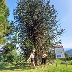 Villa Piazzo - Biella