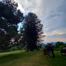 Villa Piazzo - Biella