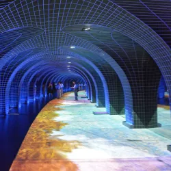 Museum of the History of Bologna (Museo della Storia di Bologna) - Bologna