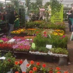 Piazza Walther - Bolzano-Bozen