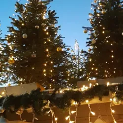 Piazza Walther - Bolzano-Bozen