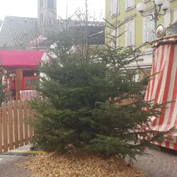 Piazza Walther - Bolzano-Bozen